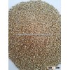 Fresh Millet Seeds From India
