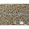 green millet from india