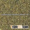 Green Millets Exporter From India