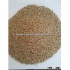 Millet Seeds or Bajara Seeds