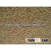 Yellow Millet Suppliers From India