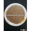 Indian greenmilet/Bajra