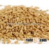 oat grain