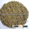 Green Millet Suppiler