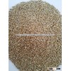 green millet