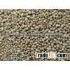 Indian Fresh Millet
