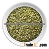 Millet Seeds Prices
