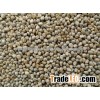 Millet Exporter