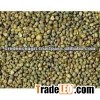 Green Millet Price