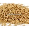 GRADE A oat grain FOR SALE