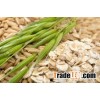 OAT FLAKES