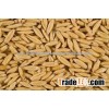 Malaysian Oats Wholesale Prices Oat Price for Sale.Good quality