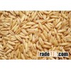 Organic OATS