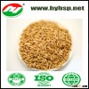 Oats
