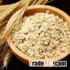 Australia green oat (high quality)