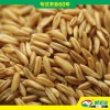 brown oats