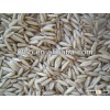 Natural oats