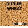 High Quality Semolina Wheat Soft/Durum Wheat
