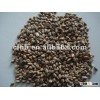 Raw Bittter Buckwheat 2015 New