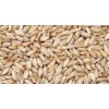 High Quality Semolina Wheat Soft/Durum Wheat