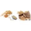 Non-GMO Wheat and barley for sale