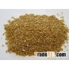 Durum Wheat