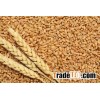 WHEAT