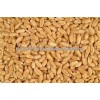 Wheat, Barley, Corn ,Canary Seeds, Clove Grass, Timothy Hay Best Price
