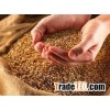 MILLING WHEAT GRADE I