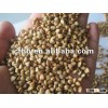 Roasted Buckwheat Kernels Chinese Factory Supplied