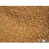 Wheat