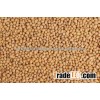 White Sorghum