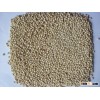 SORGHUM