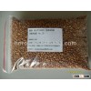Chinese Red Sorghum (Glutinous) 2013 new crop Small Size