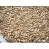 Rye Grain