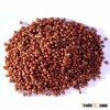 good quality glutinous red sorghum