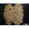 Rye grain
