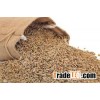 Rye grains
