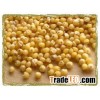 Organic Sorghum Grain