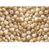 Sorghum Grain