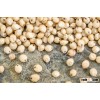 good quality glutinous white sorghum