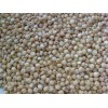 white sorghum