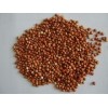 Red Sorghum