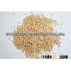 Sorghum crop from India