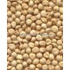 sorghum sudan grass seeds