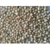 Milky Sorghum