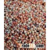 SORGHUM GRAIN For Sale
