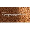 red sorghum grain