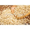 Wide Range Of Sorghum Seed