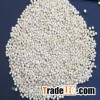 Milky white sorghum